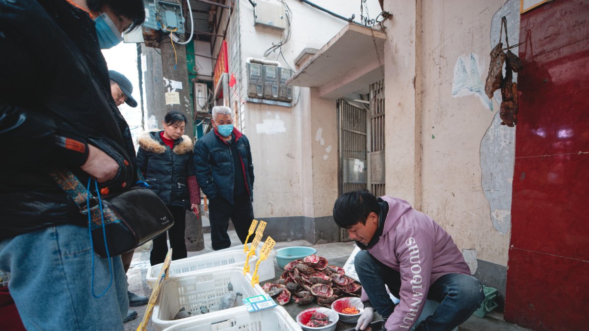 Un hombre vende tortugas en un mercado de Wuhan este 21 de enero.