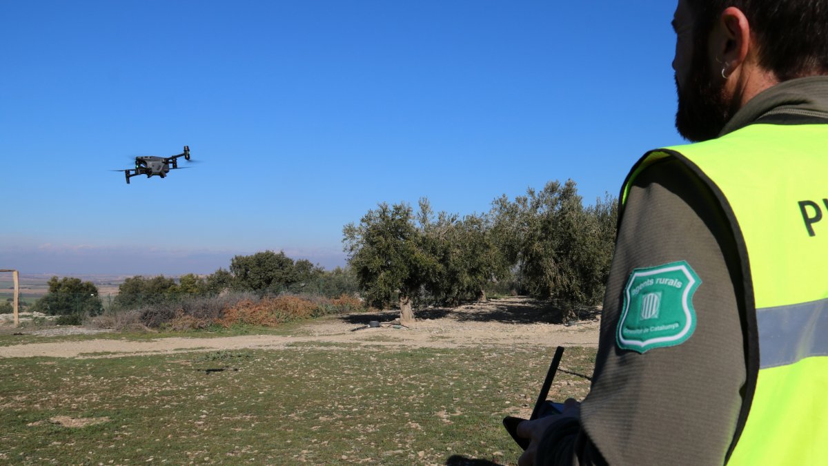 Un piloto de dron de los Agentes Rurales eleva un aparato en Verdú.