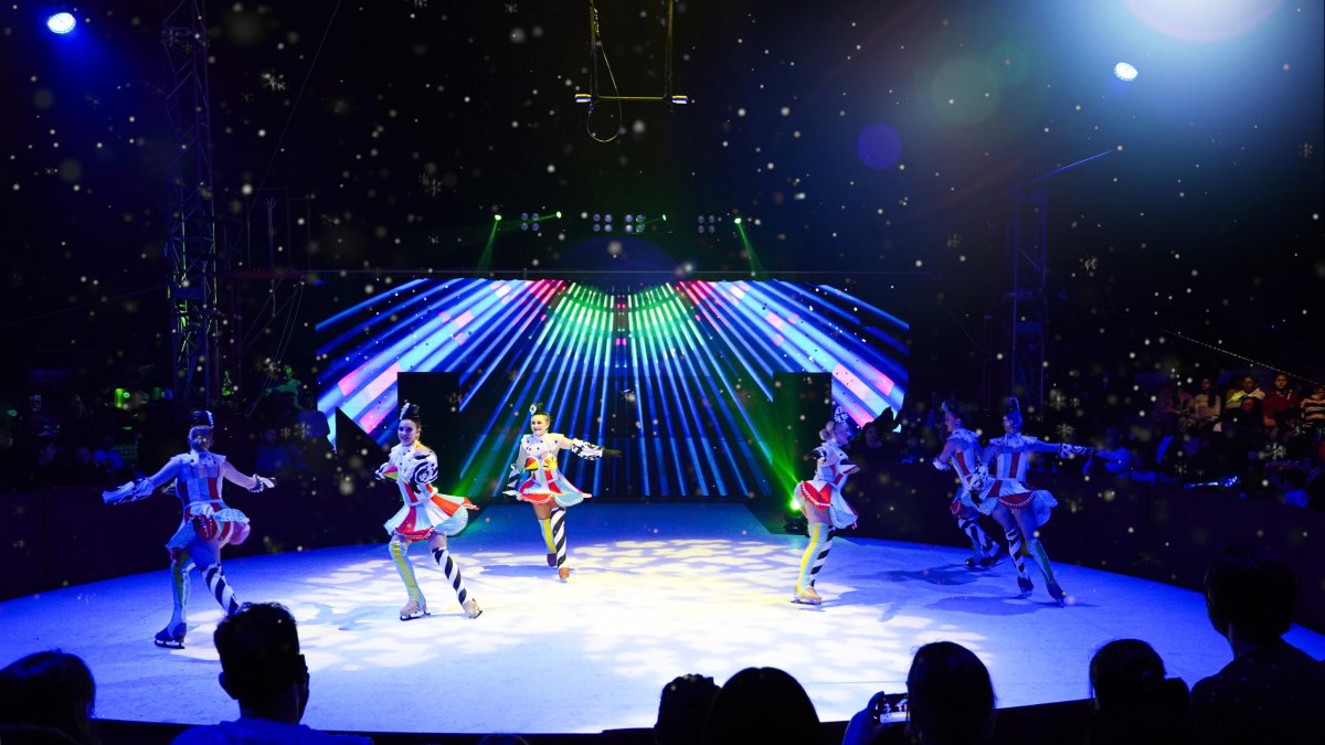 El circ Alegria, a Lleida.