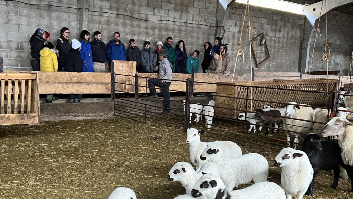 Els alumnes de l'Escola de Pastors en una classe pràctica en una granja a Enviny.