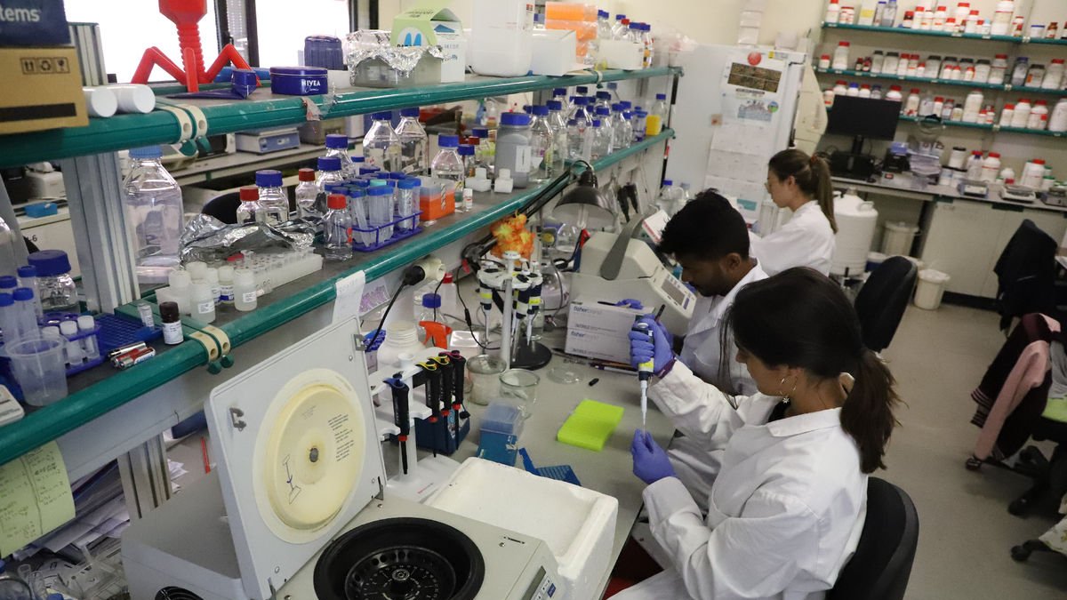 Imatge d’arxiu d’un laboratori d’Agrònoms de la UdL. - SEGRE