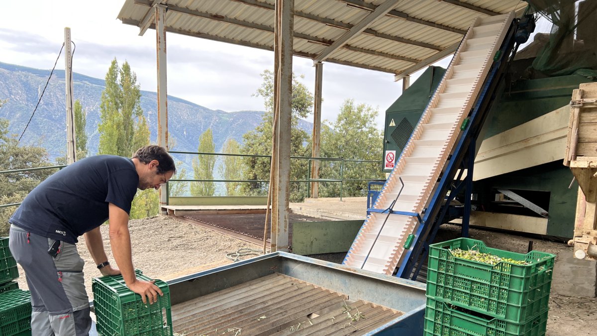 En un any l'agricultura ha destruït 7.400 llocs de treball a la província