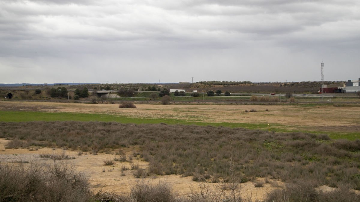 Els terrenys on està previst construir el port sec de l’Urgell. - LAIA PEDRÓS