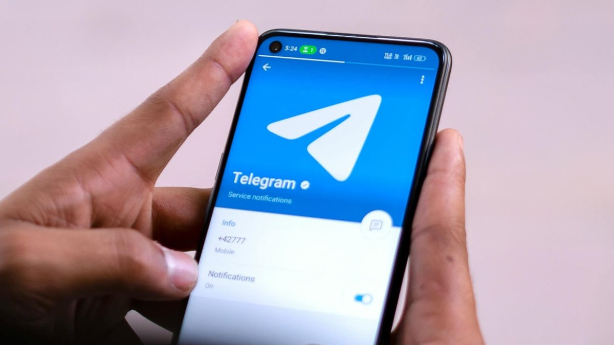 Las fotografías se comparten a través de grupos de Telegram.
