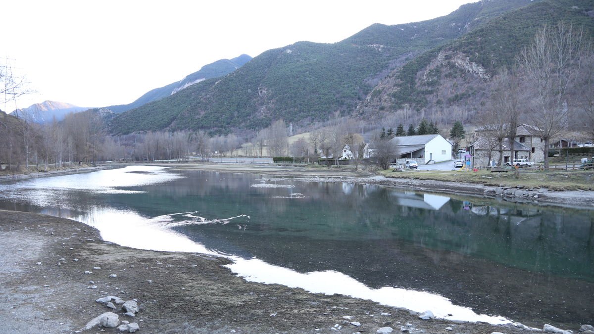 Vacían el pantano de la Torrassa para retirar una planta invasora - EDGAR ALDANA