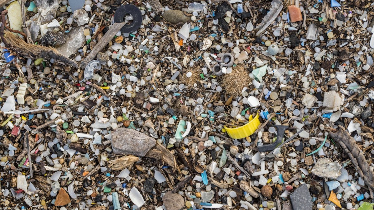 En la imagen de archivo, microplásticos y otros residuos encontrados en una playa.