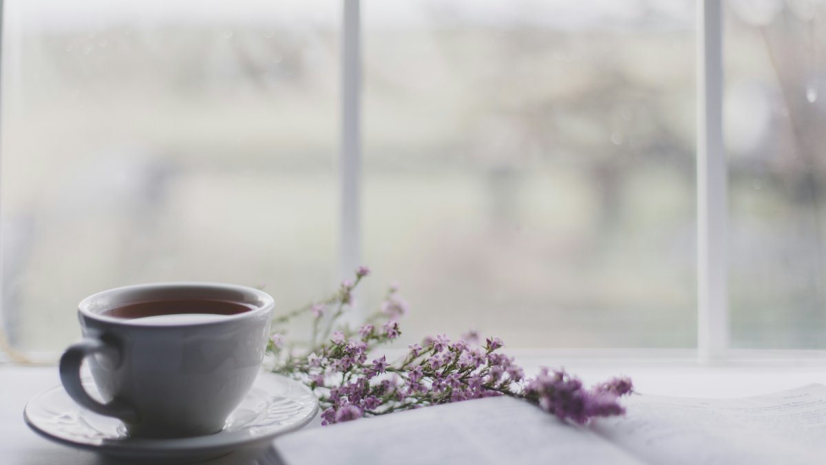 El té de lavanda, la infusión de moda para combatir el estrés.