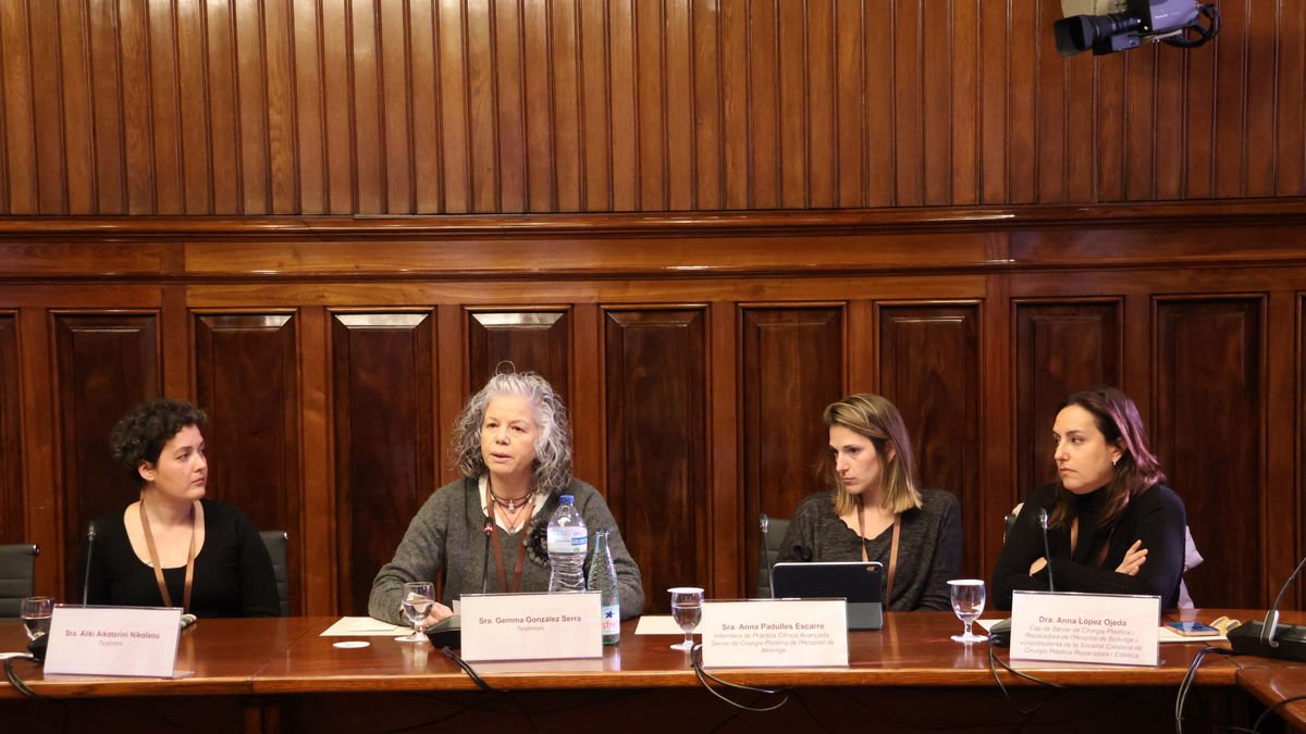 Testimonios y profesionales, ayer durante la Comissió de Salut. - PARLAMENT