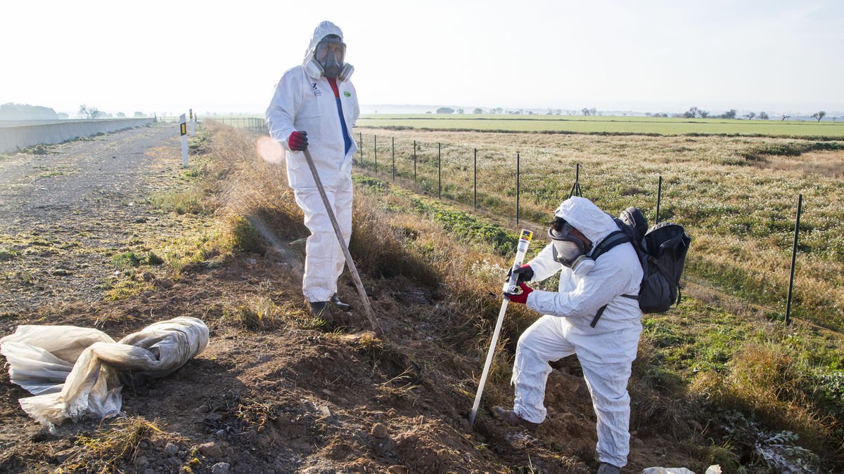 Tractament amb biocida ahir en un embassament d’Altet. - LAIA PEDRÓS