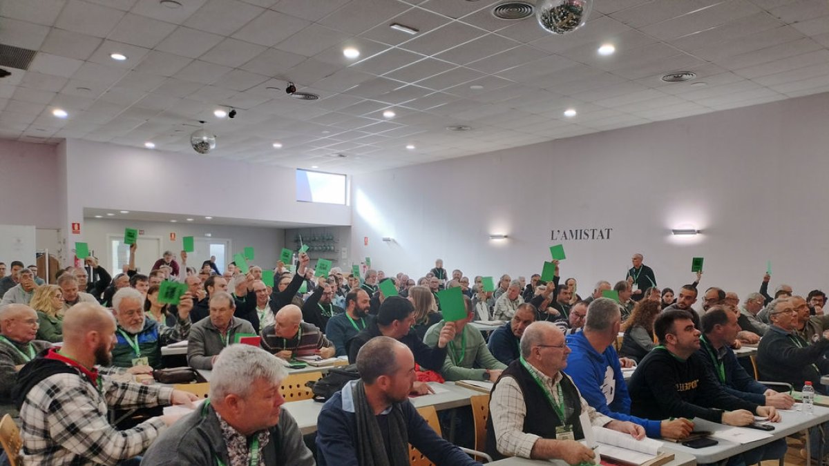 Els delegats durant una votació en un dels plenaris que es van celebrar ahir al congrés. - T. C.