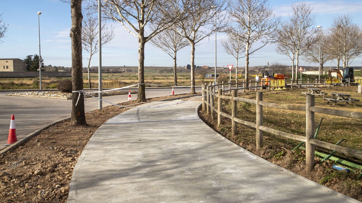 Imagen de los trabajos. - LAIA PEDRÓS