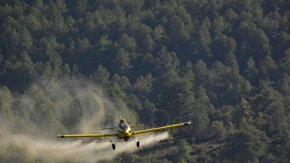 Una avioneta fumiga un pinar contra la procesionaria.