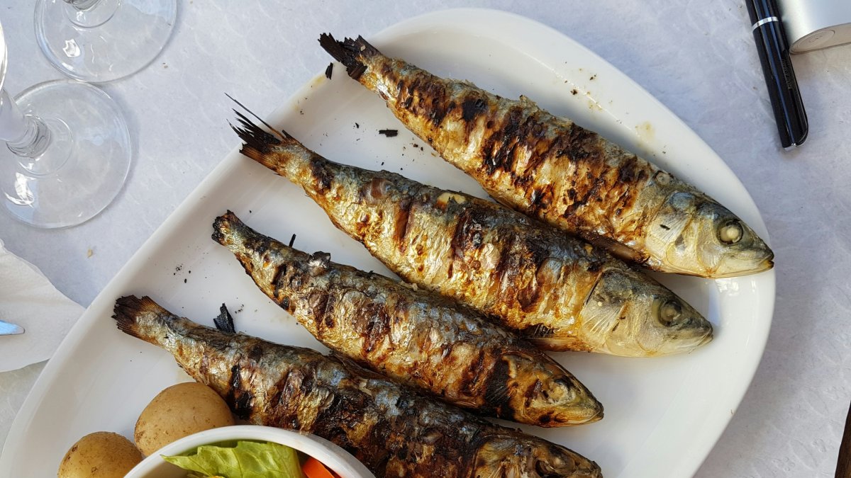 Entre els peixos blaus amb menor concentració de mercuri, sobresurt la sardina.