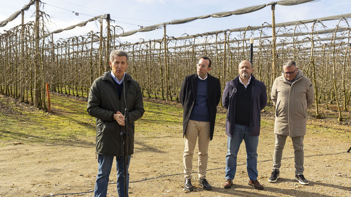 Feijóo, junto a Palau, Fernández y Simeón, tuvo palabras de elogio hacia Nufri, cuya finca visitó. - JORDI ECHEVARRIA