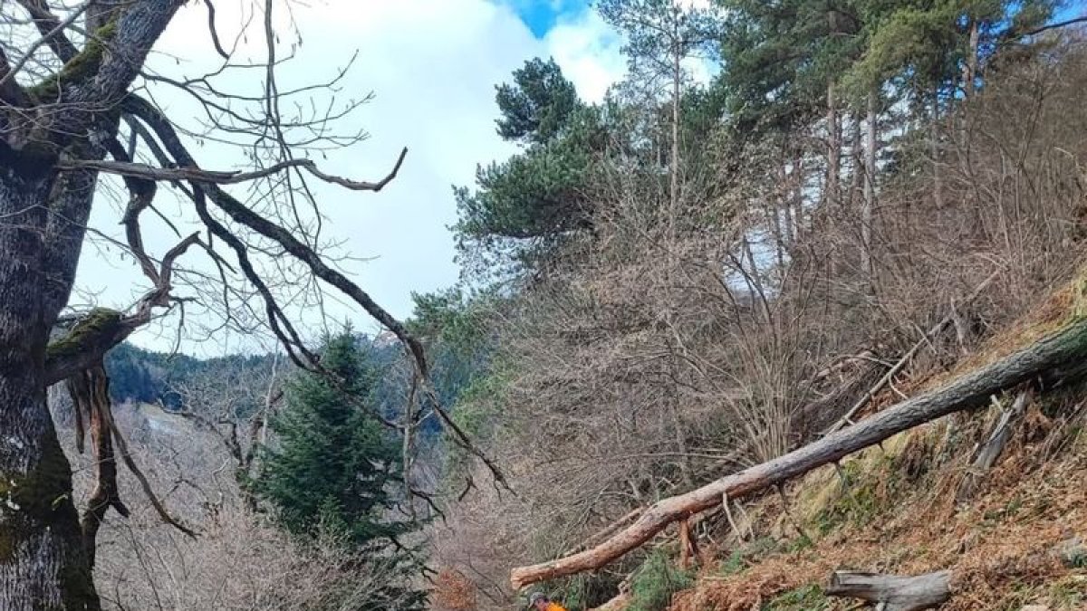 Era brigada en tot netejar era pista de Rauèra, en Bossòst. - CONSELH GENERAU
