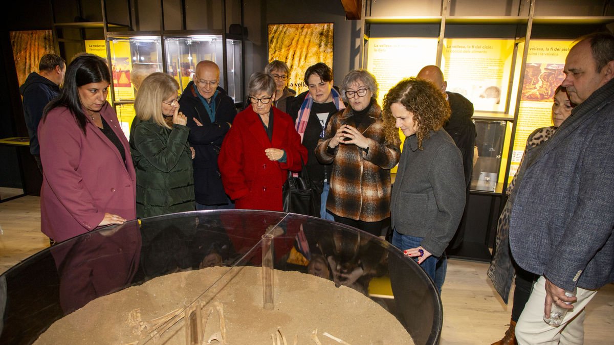 Una de les vitrines més espectaculars, amb l’esquelet d’un ancià d’entre 60 i 70 anys procedent del jaciment de Minferri. - GERARD HOYAS