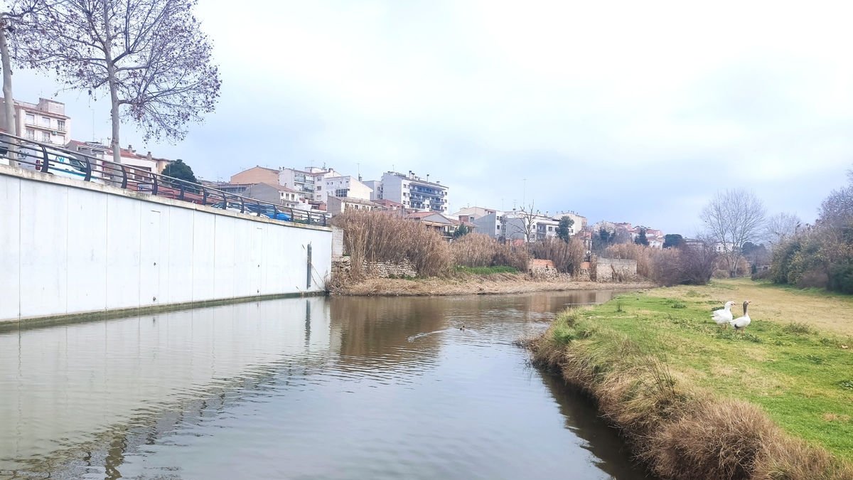 Imatge del riu Ondara amb el mur que el consistori projecta prolongar. - AJUNTAMENT DE TÀRREGA