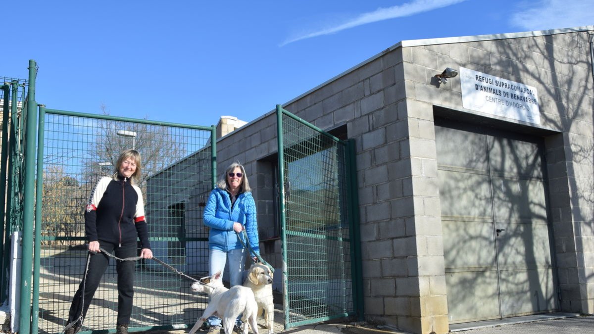Linda Brown y Vikki Field  sacan a pasear a varios perros cada día que acuden al refugio. - C.SANS