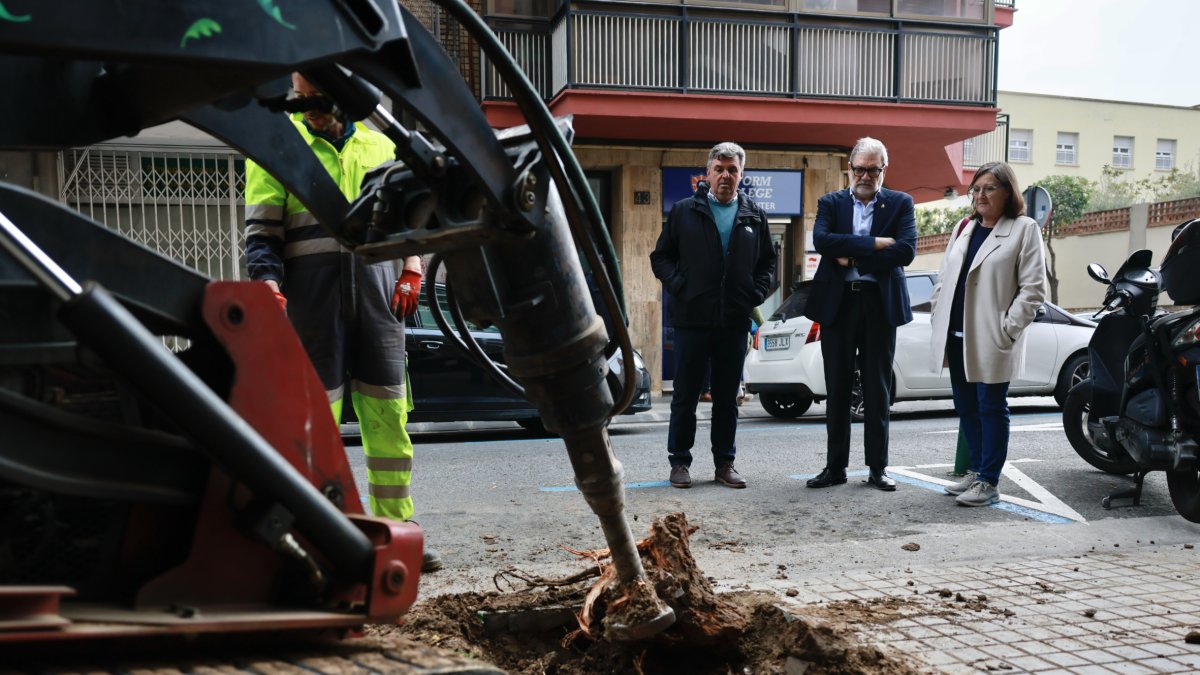 Treballs ahir per plantar arbres en escocells buits. - MARIO GASCÓN