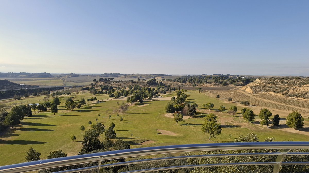 Pins, forats i vinyes - LLUÏSA PLA