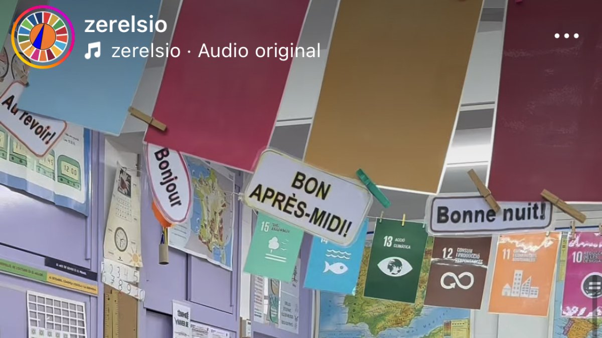 Imatge de la campanya en xarxes iniciada per la ZER El Sió.