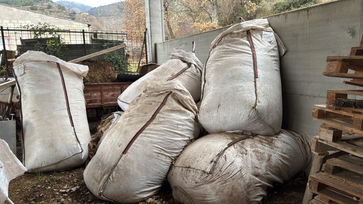Fa 3 anys que un ramader amuntega la llana de les seues ovelles al corral perquè no té on destinar-la. Una empleada d’Archroma manipula llana al laboratori. - ARCRHOMA