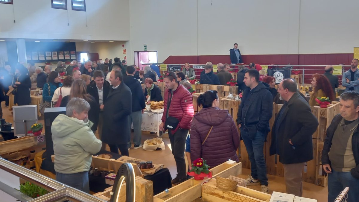 La muestra gastronómica de Bellaguarda. - AJUNTAMENT DE BELLAGUARDA