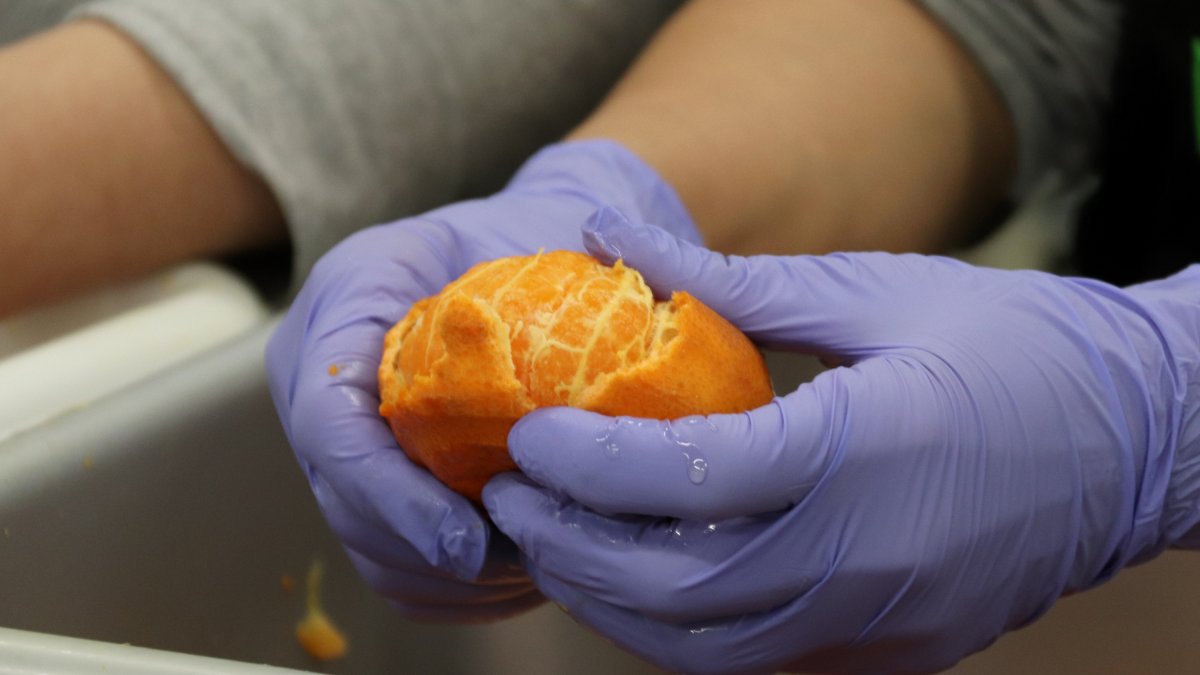 Moment de pelar una mandarina per donar-li una nova vida i evitar que acabi a les escombraries.