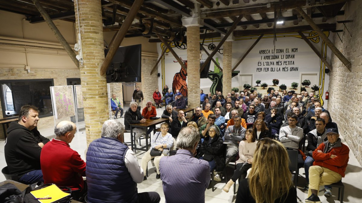 El president del canal, Josep Maria Jové, va explicar dimarts a Arbeca diferents projectes en marxa. - JORDI ECHEVARRIA