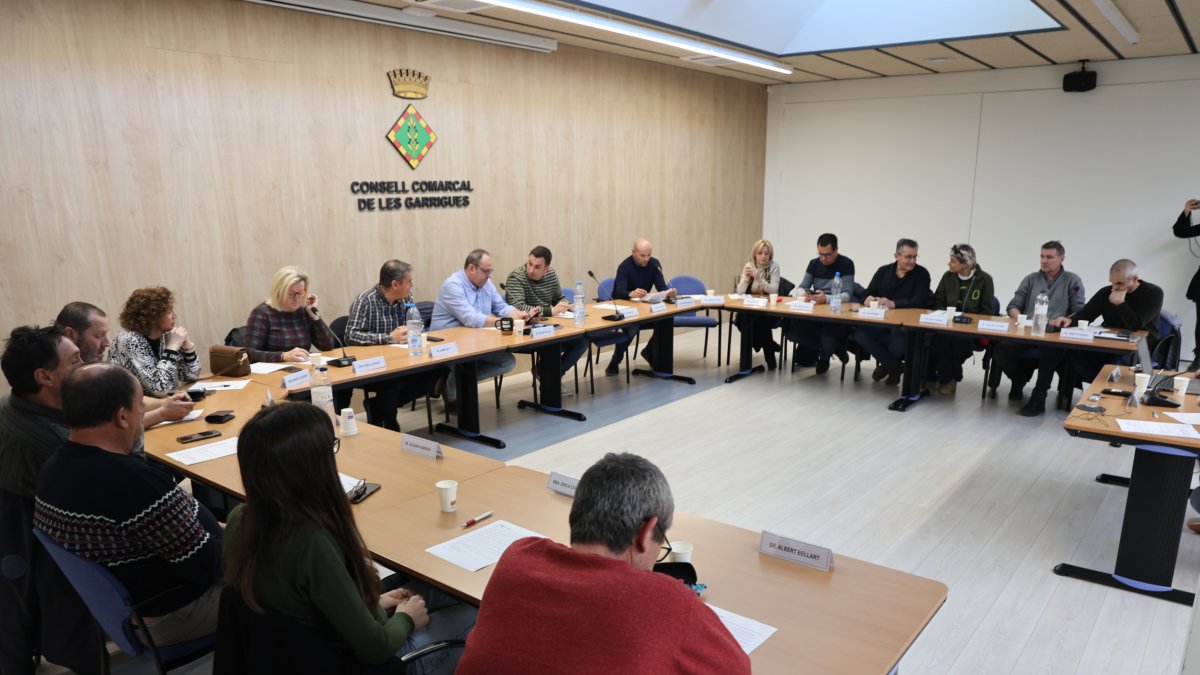 El ple comarcal convocat a instàncies dels grups a l’oposició, contraris a Nova Tracjusa. - MAGDALENA ALTISENT