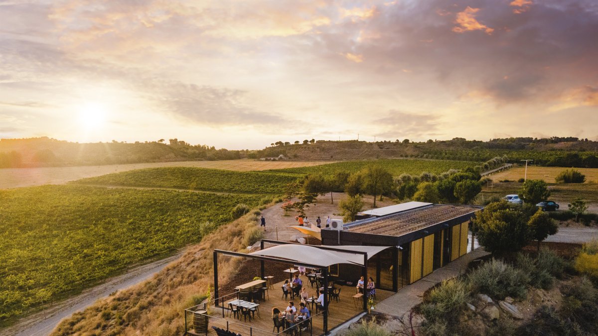 Celler de Raimat - CEDIDES AL CELLER RAIMAT