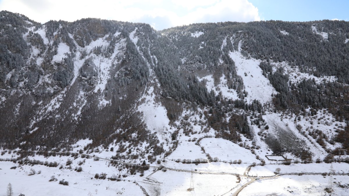 La nevada de ayer en Vielha. - EDGAR ALDANA