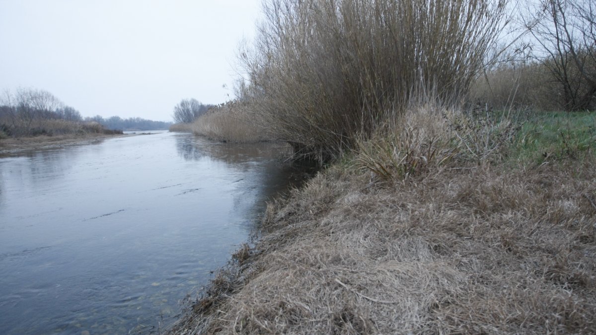 Imagen de archivo del río a su paso por La Granja d’Escarp. - SEGRE