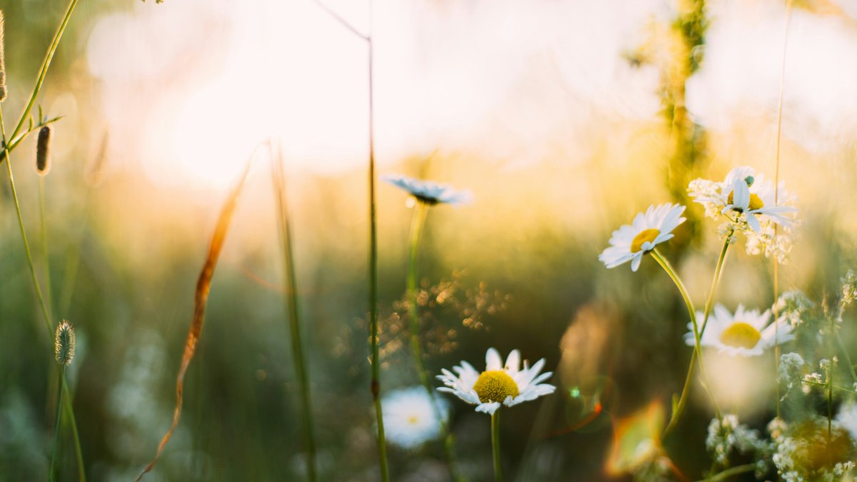 Unsplash.