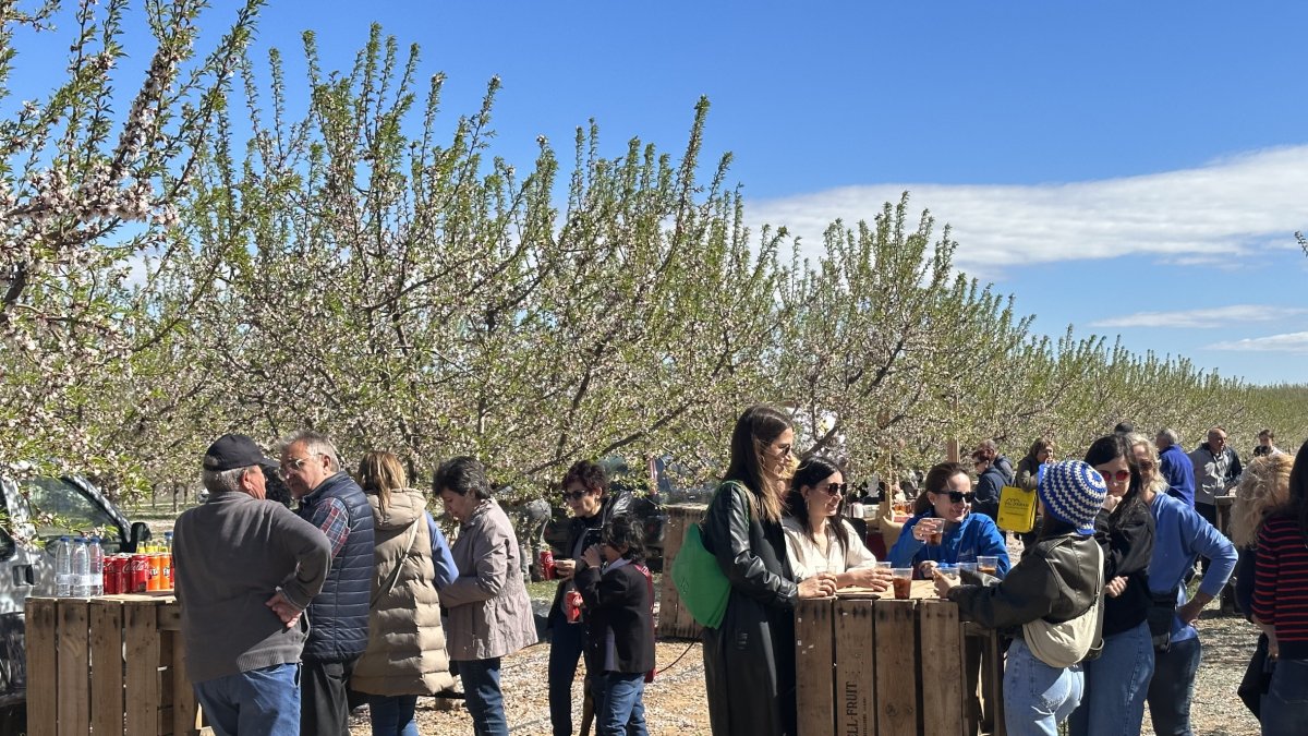 Amplían la oferta turística de los árboles en flor hasta el 23 de marzo - A. CASTELLDANS