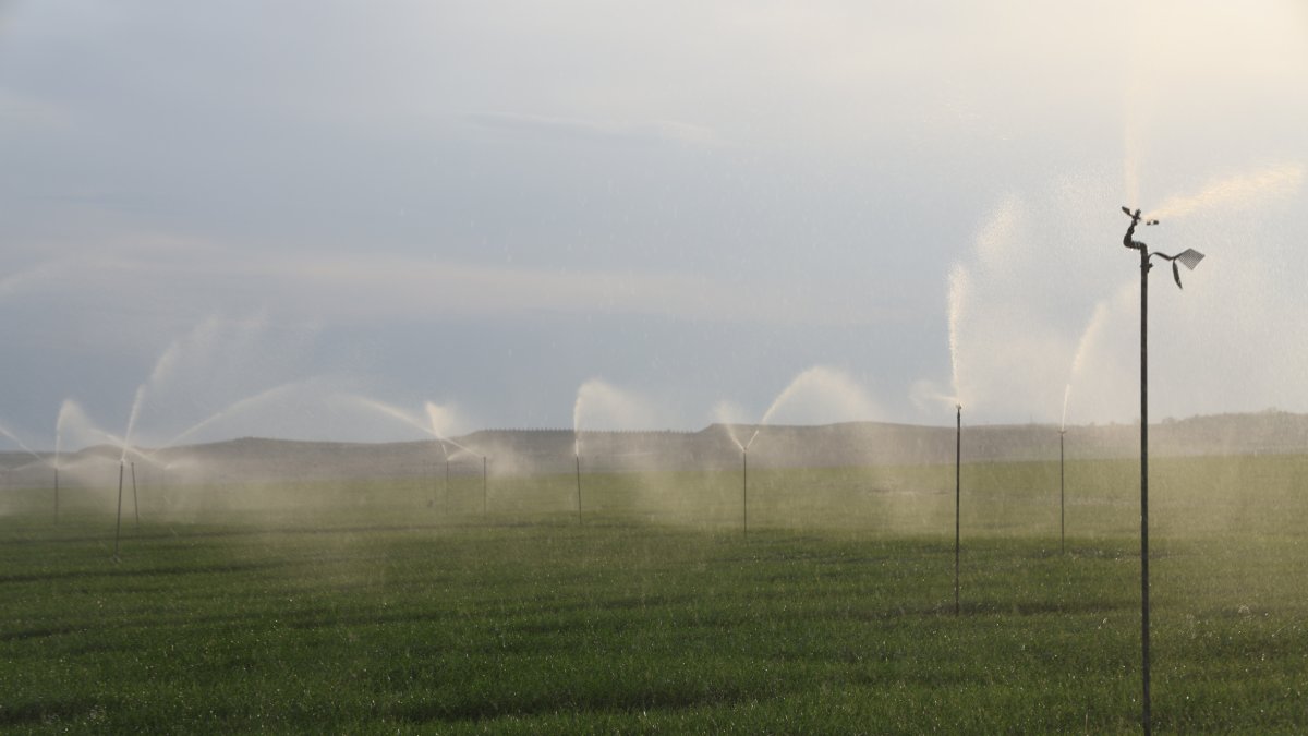 Els aspersors i els pius van començar ahir de nou a regar els cultius. - AMADO FORROLLA