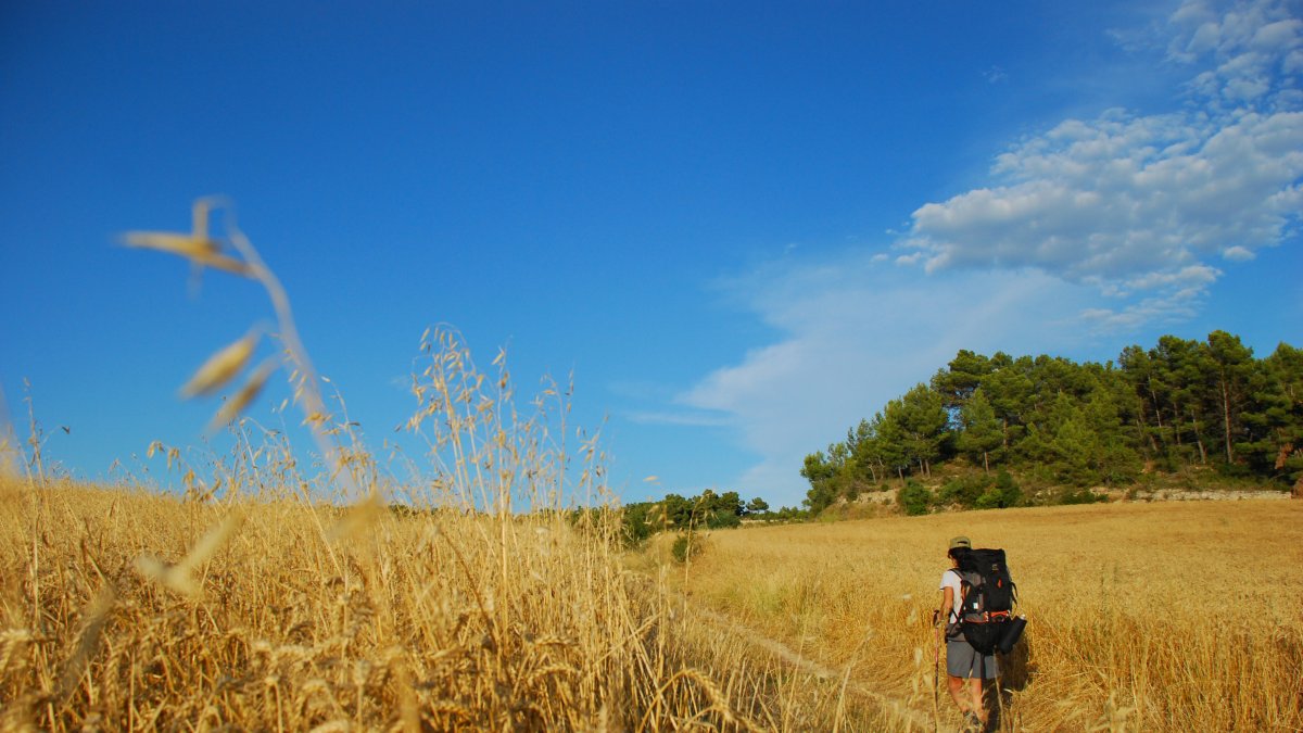 Un peregrino en un tramo del Camino de Santiago en Lleida.