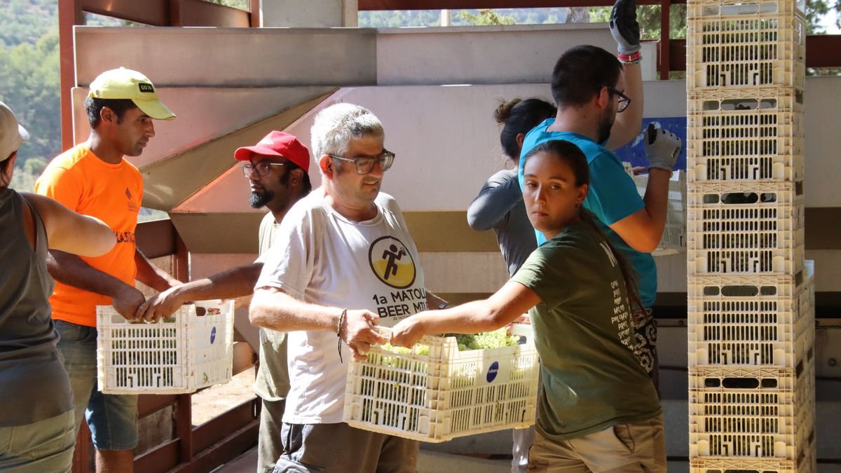 Més de 150 persones treballen amb L’Olivera o estan vinculades a projectes de la cooperativa. - L’OLIVERA