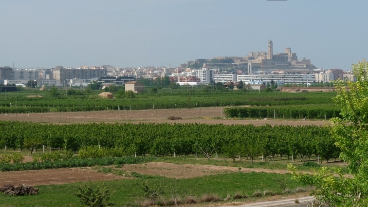 Una vista de l'Horta de Lleida.
