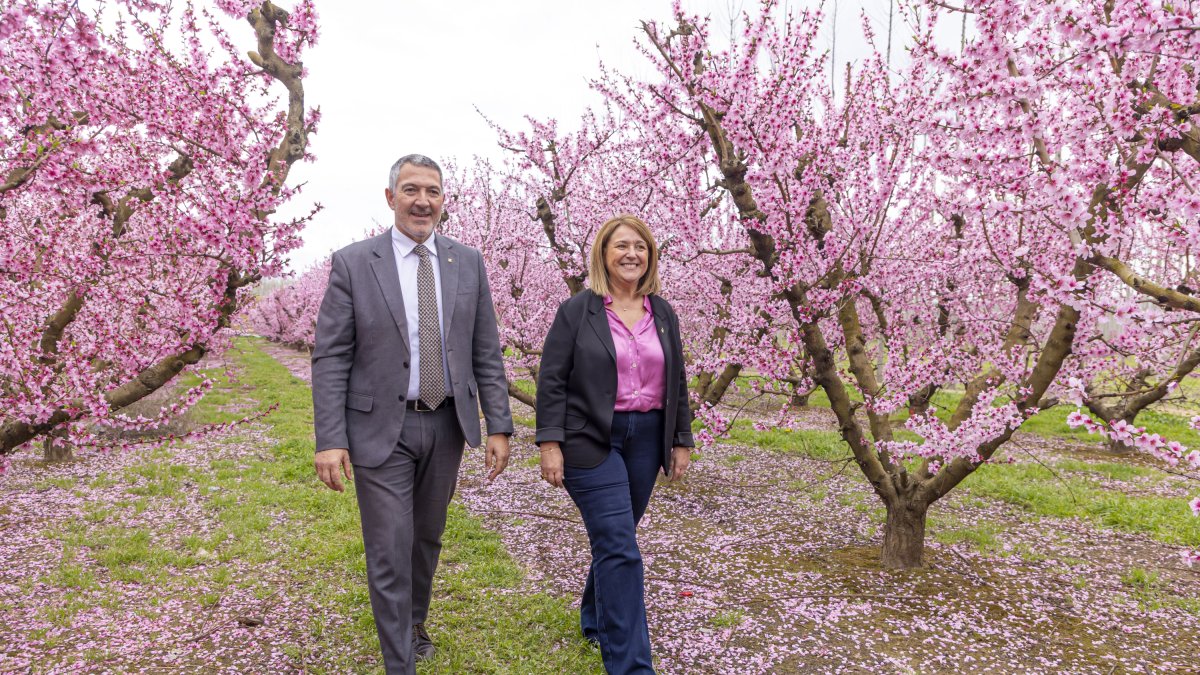 El Fruiturisme d'Aitona comptarà comptarà amb un traçat d'onze quilòmetres entre fruiters