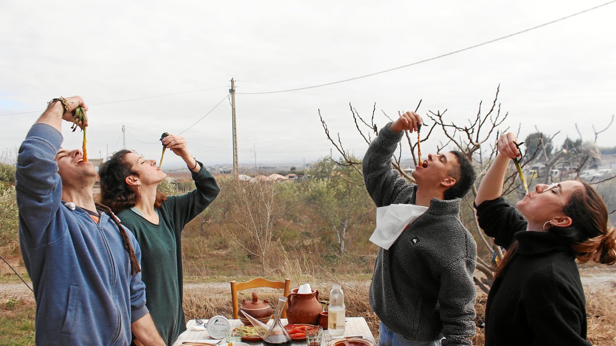 Una 'calçotada' en Lleida.