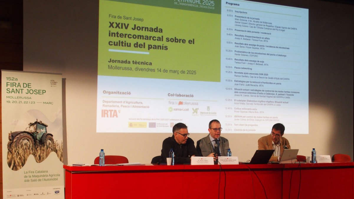 Un momento de la jornada celebrada ayer en Mollerussa. - FIRA  MOLLERUSSA