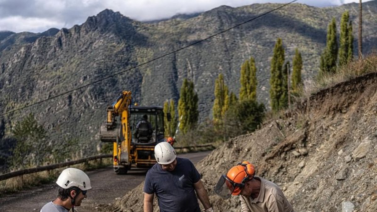 Una obra de bioenginyeria per estabilitzar un talús a Port Ainé. - BOSCOS DE MUNTANYA