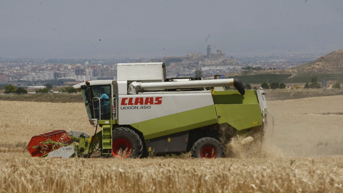 Una cosechadora trabajando en un campo de cereal.