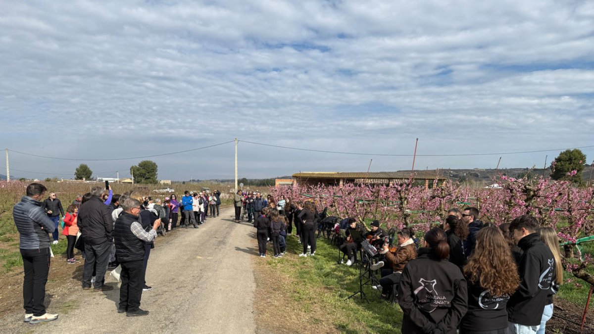 Un dels itineraris de la Ruta de la Floració. - FRAGA