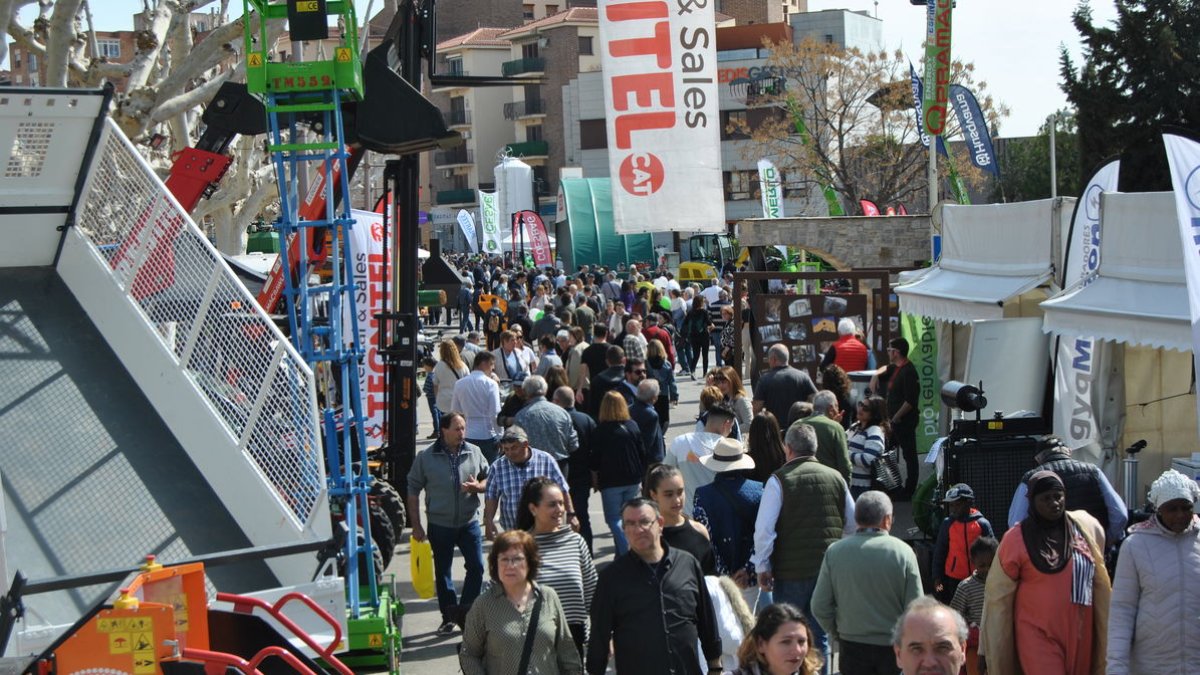 Lleida TV se desplaza hoy hasta la Fira de Sant Josep de Mollerussa. - ESMERALDA FARNELL