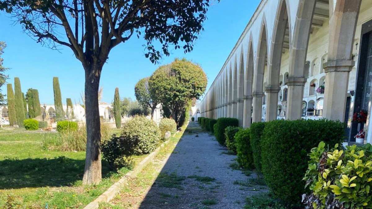 Vecinos denuncian falta de mantenimiento en el cementerio. - SEGRE