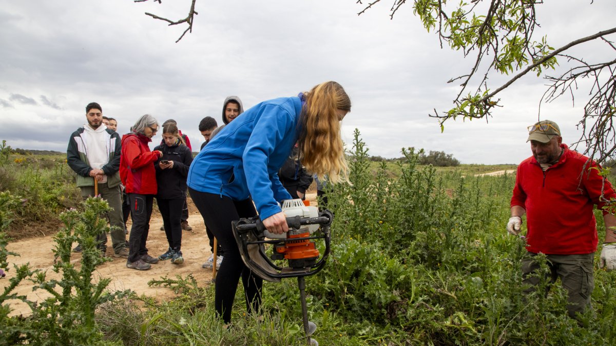 Alumnos del Institut Mollerussa han colocado señales identificativas en puntos de la ruta botánica.