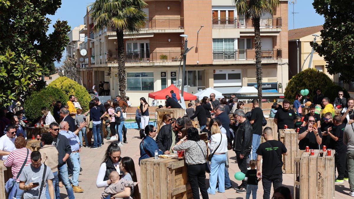 El vermut popular en la plaza de Sant Jaume. - J.GÓMEZ