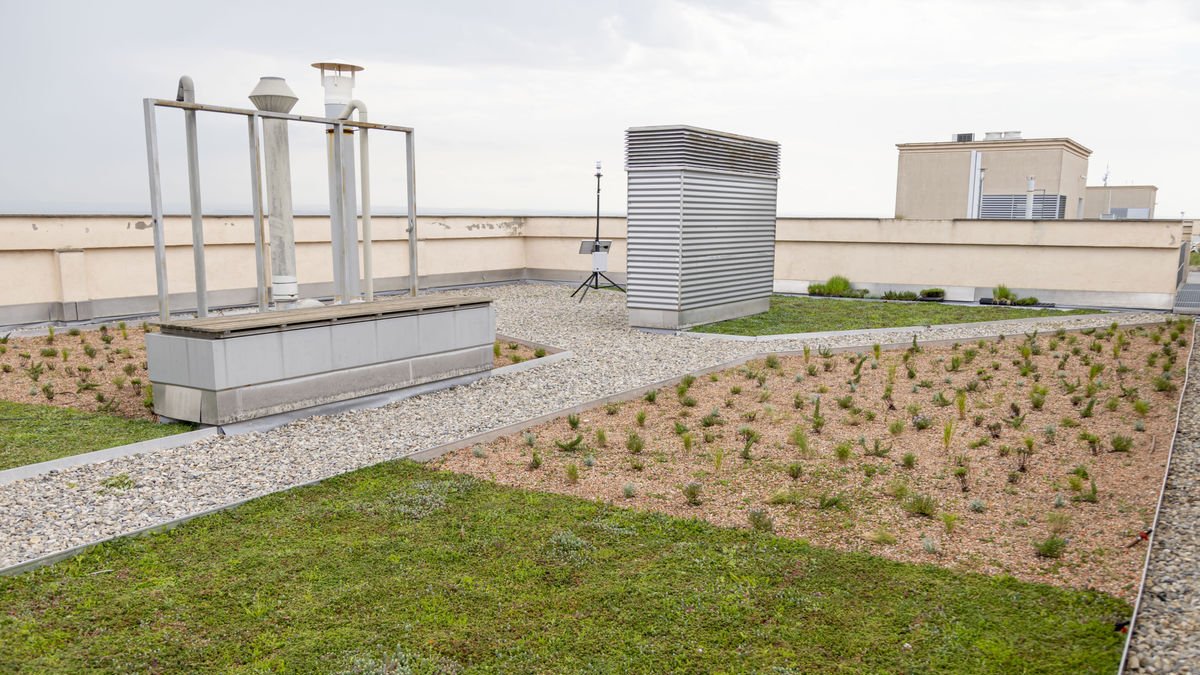 La coberta vegetal de l’edifici de l’H3 del parc Agrobiotech de Gardeny. - OMA
